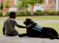 child sitting on the porch with their service dog from Duo Dogs