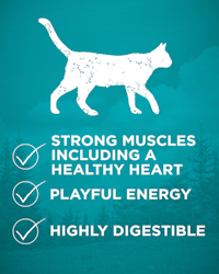 strong muscles including a healthy heart, playful energy, highly digestible