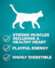 strong muscles including a healthy heart, playful energy, highly digestible