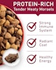 Protein-rich tender meaty morsels for strong immune system, radiant coat, healthy energy