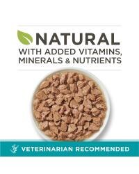 veterinarian recommended