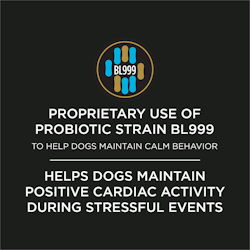 Proprietary use of probiotic strain BL999 to help dogs maintain calm behavior. Helps dogs maintain positive cardiac activity during stressful events.