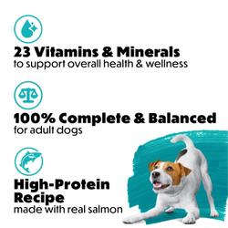 Protein rich recipes