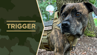 Service Dog Salute Trigger