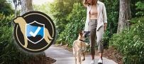 German Shepherd being walked. Veterinary Supplements also provide canine immune support.