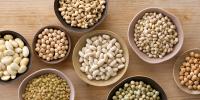 ¿Pueden los perros comer frijoles?