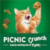 Picnic Crunch. A party-starting mix of yum!