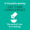 Un complemento de alimento para gatos sabroso y sellado