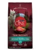 Purina ONE® True Instinct Formula with Real Salmon & Tuna Dog Food