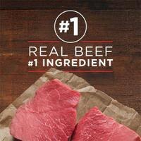 Real Beef #1 Ingredient