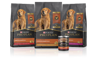 Pro Plan Adult Dog Food