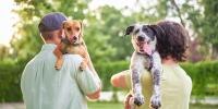 Dos dueños mirando hacia atrás y sosteniendo a sus perros felices sobre sus hombros