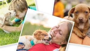 Pet Resource Library