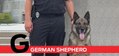 G is for German Shepherd