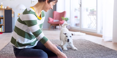 woman playing with white dog on rug