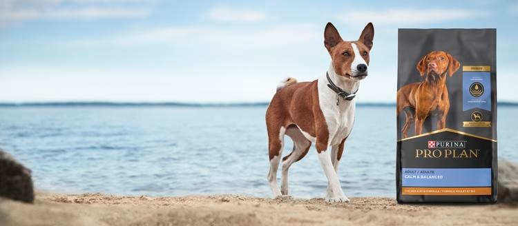 Pro Plan Calm and Balanced Dog Food Hero Banner