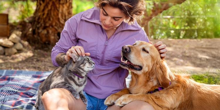 woman in a purple shirt petting a cat and a dog