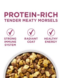 Bocados de carne blanda altos en proteína. Sistema inmune fuerte, pelaje radiante, energía saludable