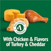 With Chicken & Flavors of Turkey & Cheddar