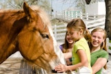 a family with small kids petting a horse at Purina Farms