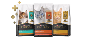 Pro Plan Cat Food with Probiotics