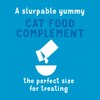 Slurpable yummy cat food complement