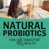 natural probiotics for digestive health