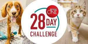 red cat and red dog on the sides of the purina 28-day challenge logo