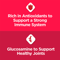 Support healthy joints