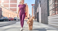 A woman walking a dog