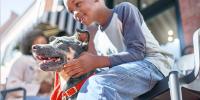 child petting a black and tan dog