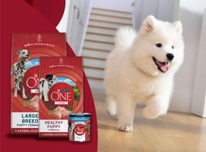 Purina One Puppy Food hero image