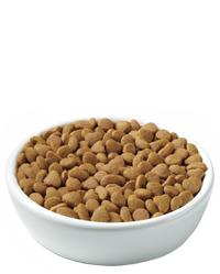 pro-plan-focus-adult-indoor-care-turkey-rice-kibble