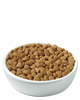 pro-plan-focus-adult-indoor-care-turkey-rice-kibble