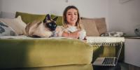cat sitting on couch next to owner with laptop