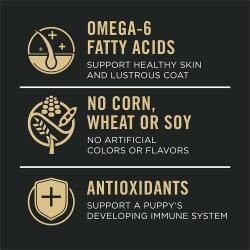 Omega-6 Fatty Acids