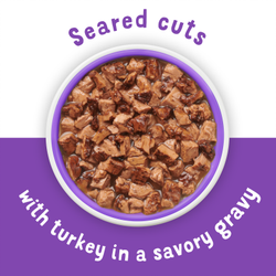 Seared cuts of turkey in gravy