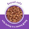 Seared cuts of turkey in gravy