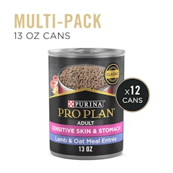 Multi-Pack 13 OZ Cans