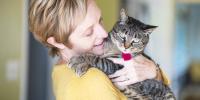 Cat owner holds grey tabby cat to chest