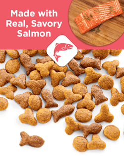 made with real savory salmon