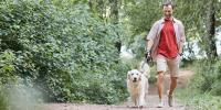 Un hombre camina con un perro
