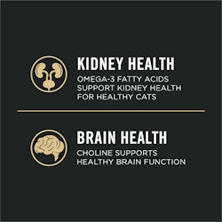 kindney health, brain health