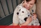 Mujer sosteniendo un perro