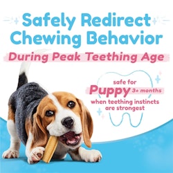Safely redirect chewing behavior during peak teething age. Safe for puppy 3+ months when teething instincts are strongest.