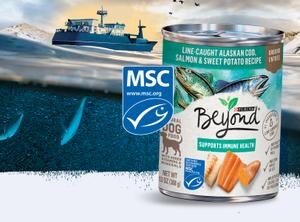 Alimento para perros Beyond certificado por el MSC sobre una imagen de un barco en el agua