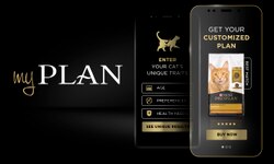 my plan