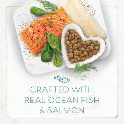 crafted with real ocean fish and salmon