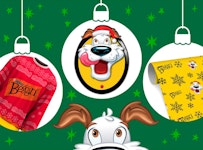 Hamlet excitedly looking up at Beggin’ holiday merch