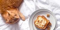 Cat resting by a plate with peanut butter and banana toast